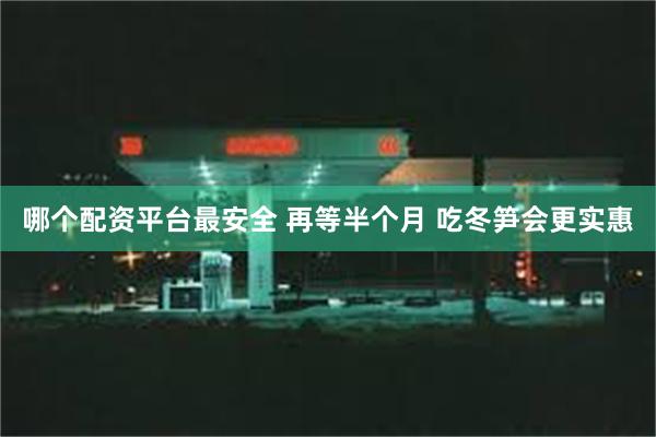 哪个配资平台最安全 再等半个月 吃冬笋会更实惠