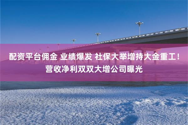 配资平台佣金 业绩爆发 社保大举增持大金重工！营收净利双双大增公司曝光
