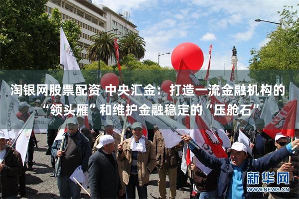 淘银网股票配资 中央汇金：打造一流金融机构的 “领头雁”和维护金融稳定的“压舱石”