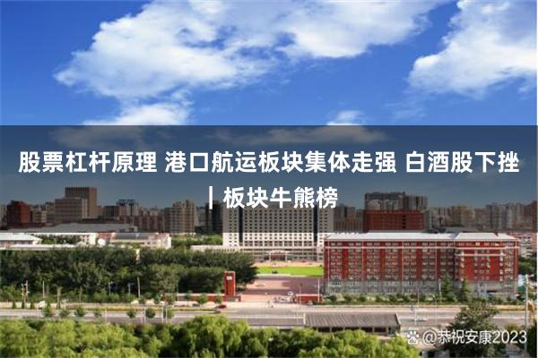 股票杠杆原理 港口航运板块集体走强 白酒股下挫|板块牛熊榜